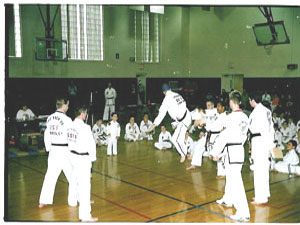 Mr. Serdinsky Blind Folded Board Breaks