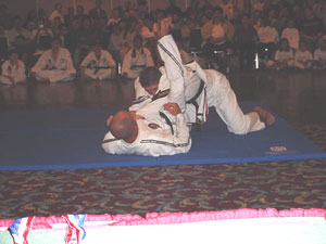 Mr. Serdinsky Jui-Jitsu Triangle